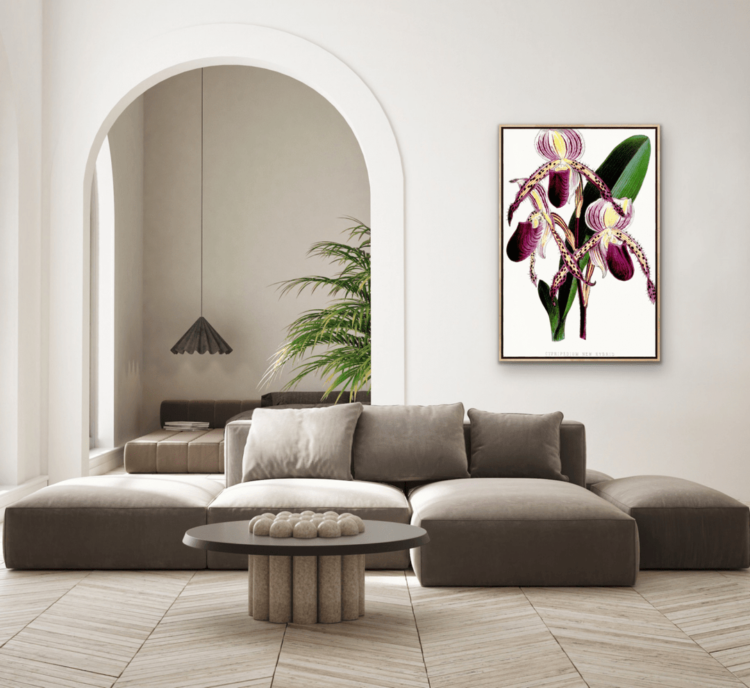 Paphiopedilum Stonei Orchid from The Floral Magazine (1861 - 1881) by Worthington G. Smith, John N. Fitch and Walter H. Fitch - Botanical Illustration Stretched Canvas or Wall Art Print - I Heart Wall Art - Poster Print, Canvas Print or Framed Art Print