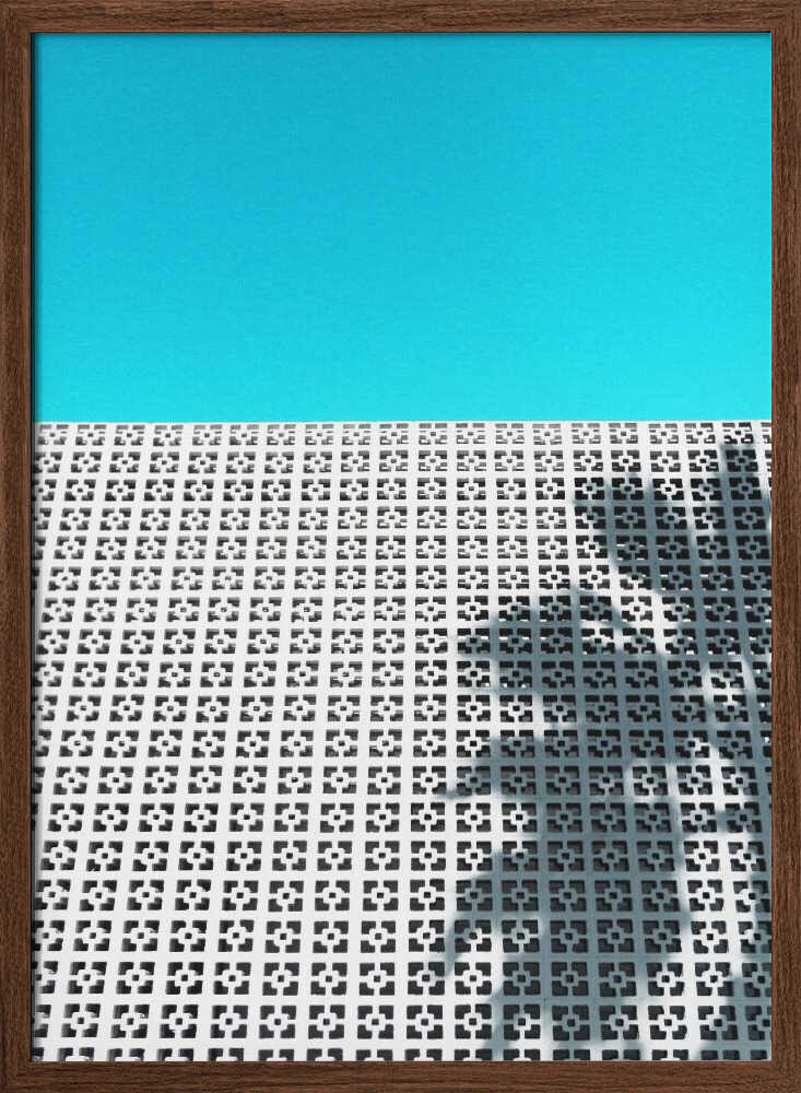 Parker Palm Shadow in Palm Springs - Stretched Canvas, Poster or Fine Art Print - I Heart Wall Art - Poster Print, Canvas Print or Framed Art Print