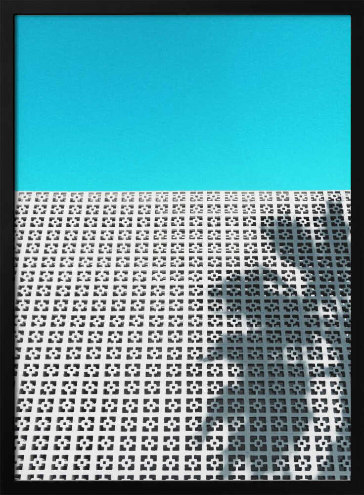 Parker Palm Shadow in Palm Springs - Stretched Canvas, Poster or Fine Art Print - I Heart Wall Art - Poster Print, Canvas Print or Framed Art Print
