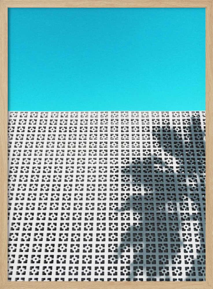 Parker Palm Shadow in Palm Springs - Stretched Canvas, Poster or Fine Art Print - I Heart Wall Art - Poster Print, Canvas Print or Framed Art Print