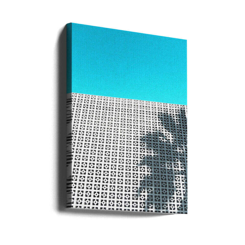 Parker Palm Shadow in Palm Springs - Stretched Canvas, Poster or Fine Art Print - I Heart Wall Art - Poster Print, Canvas Print or Framed Art Print