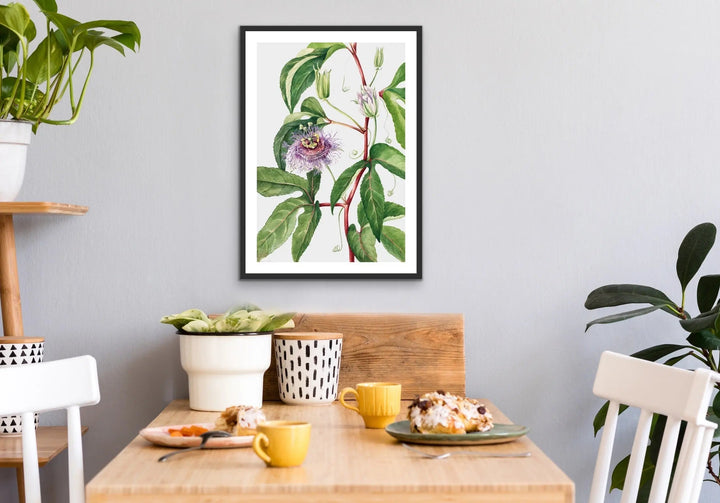 Passiflora Incarnata (1926) by Mary Vaux Walcott - I Heart Wall Art