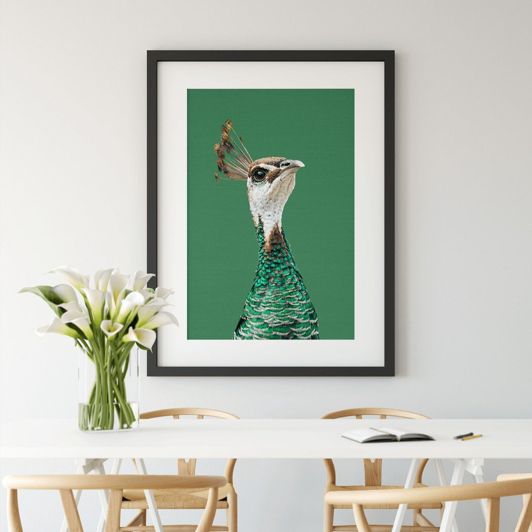 Pea Hen - Green Stretched Canvas Wall Art Peahen/Peafowl Bird Australia - I Heart Wall Art