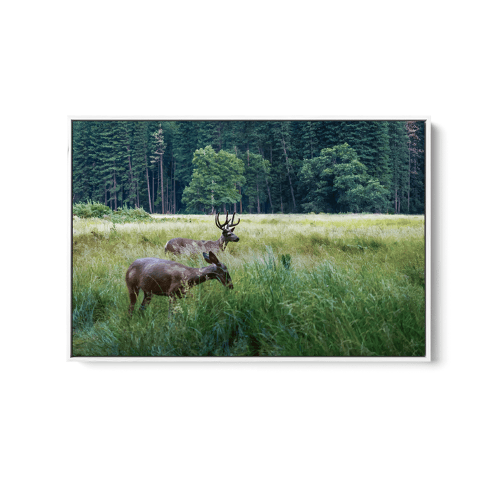 Peaceful Deer - Illustrated Nature Landscape, Stretched Canvas or Wall Art Print - I Heart Wall Art - Poster Print, Canvas Print or Framed Art Print