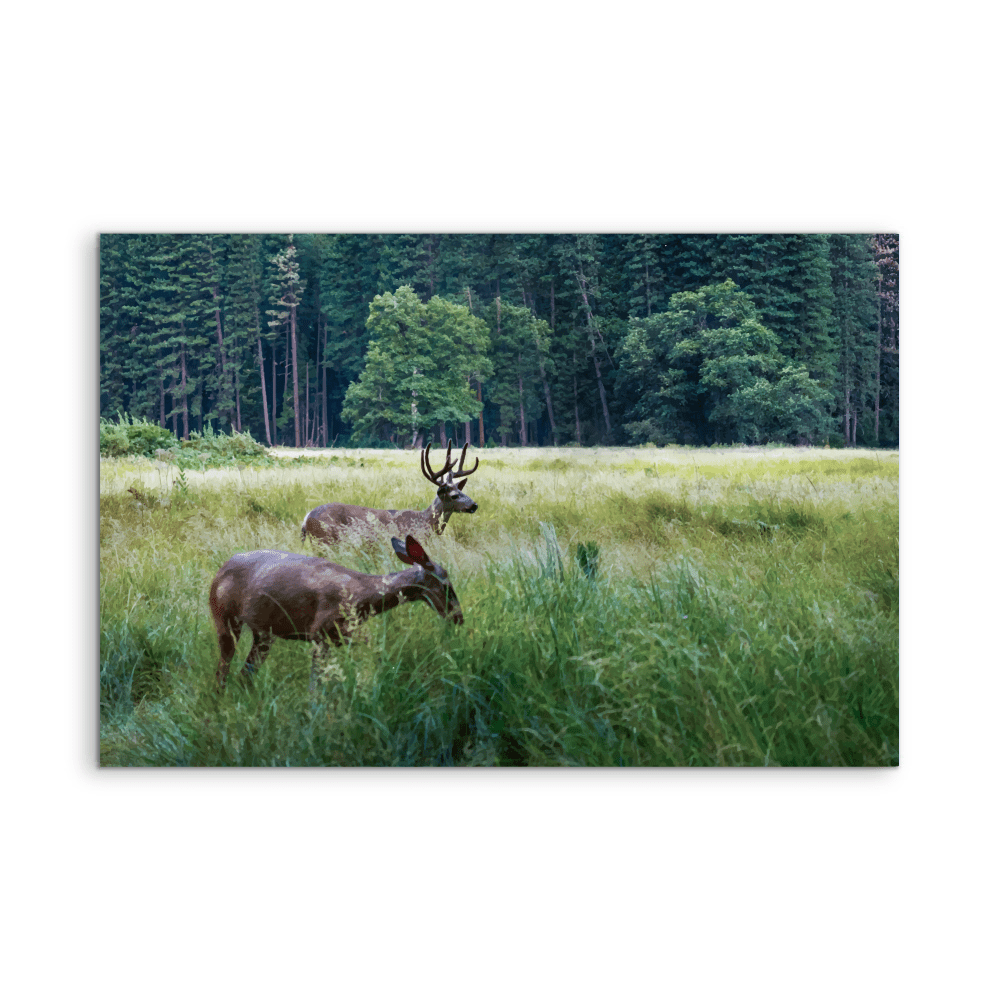 Peaceful Deer - Illustrated Nature Landscape, Stretched Canvas or Wall Art Print - I Heart Wall Art - Poster Print, Canvas Print or Framed Art Print