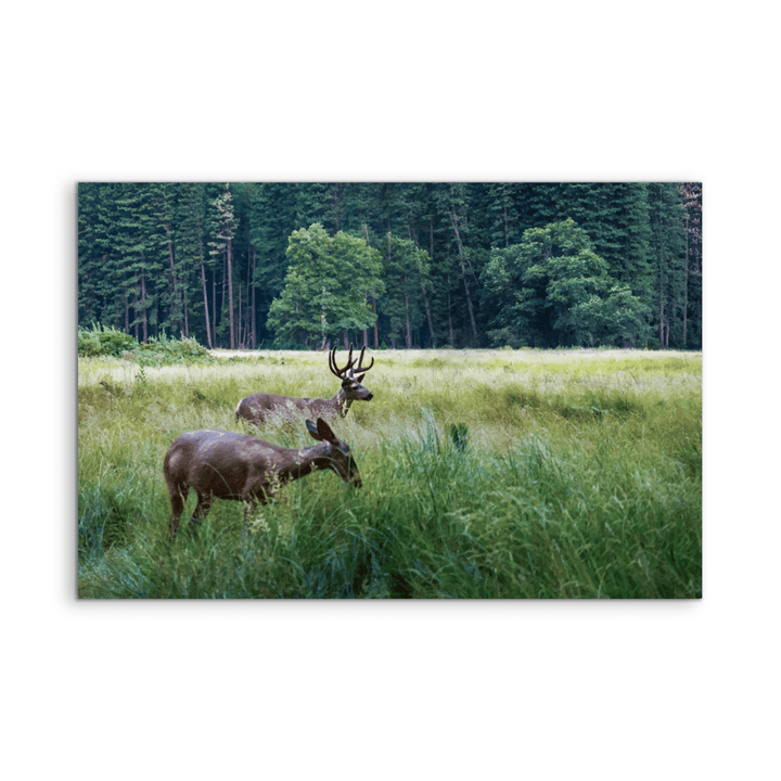 Peaceful Deer - Illustrated Nature Landscape, Stretched Canvas or Wall Art Print - I Heart Wall Art - Poster Print, Canvas Print or Framed Art Print