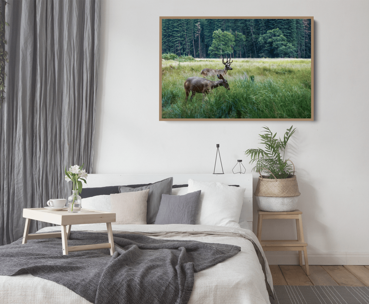 Peaceful Deer - Illustrated Nature Landscape, Stretched Canvas or Wall Art Print - I Heart Wall Art - Poster Print, Canvas Print or Framed Art Print