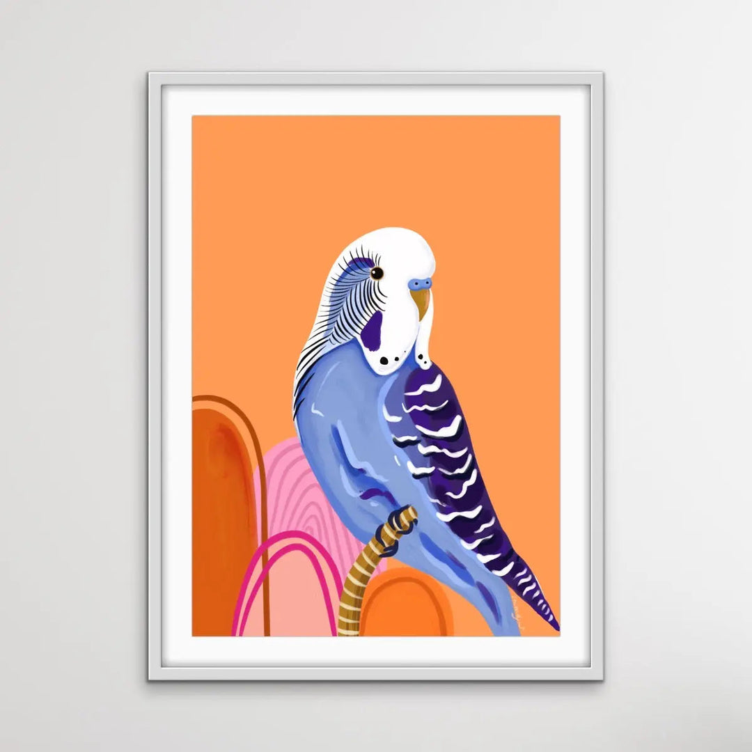 Peach Budgie By Emma Whitelaw - Peach Budgerigar Contemporary Artwork Canvas or Art Print I Heart Wall Art Australia 