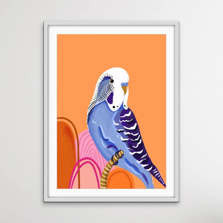 Peach Budgie By Emma Whitelaw - Peach Budgerigar Contemporary Artwork Canvas or Art Print I Heart Wall Art Australia 