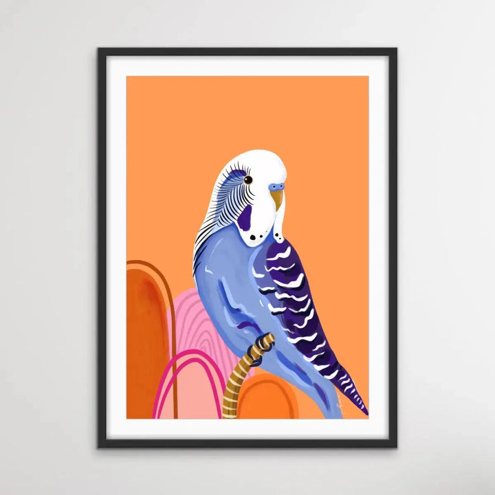 Peach Budgie By Emma Whitelaw - Peach Budgerigar Contemporary Artwork Canvas or Art Print I Heart Wall Art Australia 