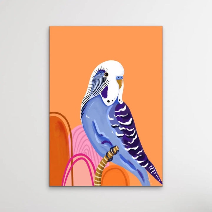 Peach Budgie By Emma Whitelaw - Peach Budgerigar Contemporary Artwork Canvas or Art Print I Heart Wall Art Australia 