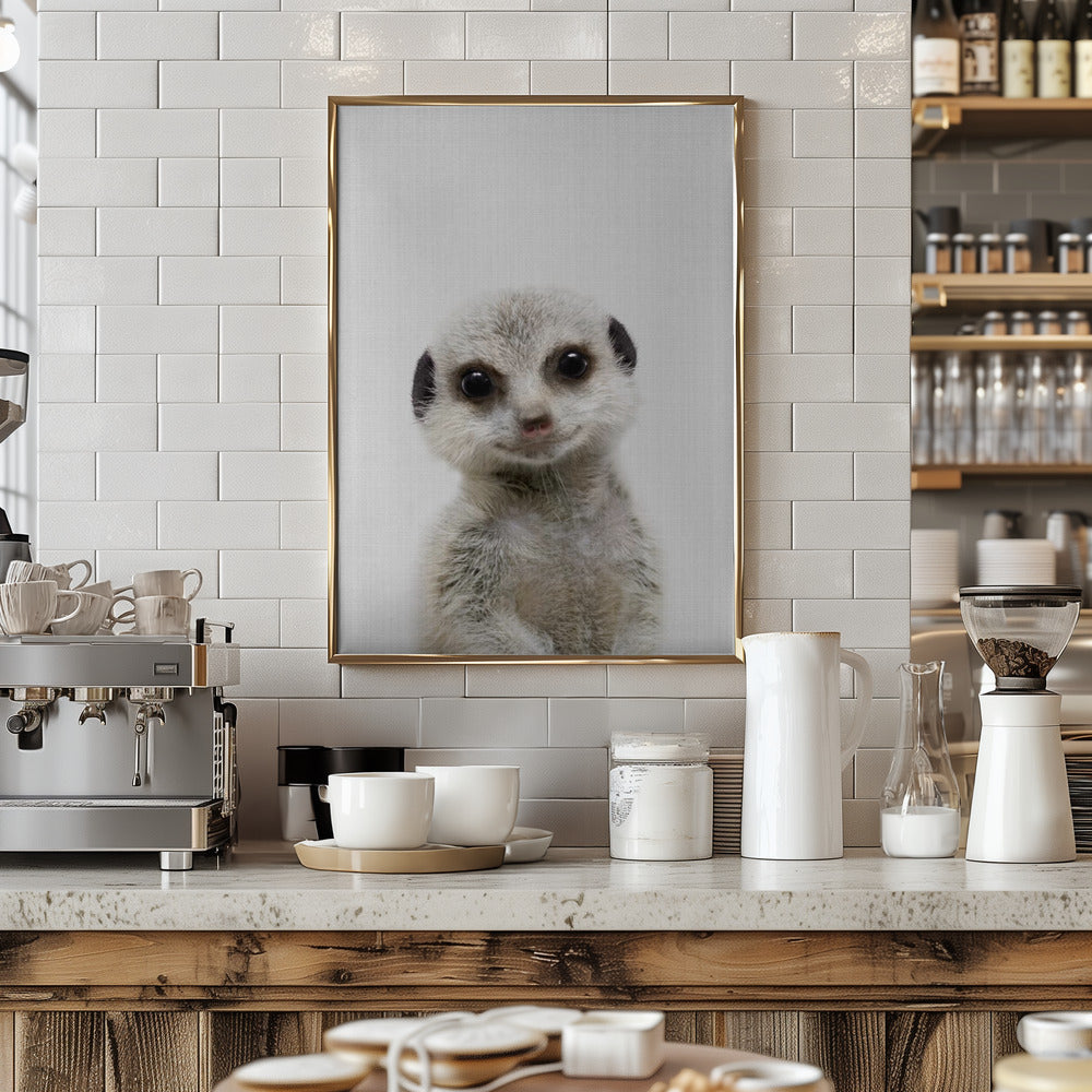 Peekaboo Baby Meerkat - Stretched Canvas, Poster or Fine Art Print I Heart Wall Art
