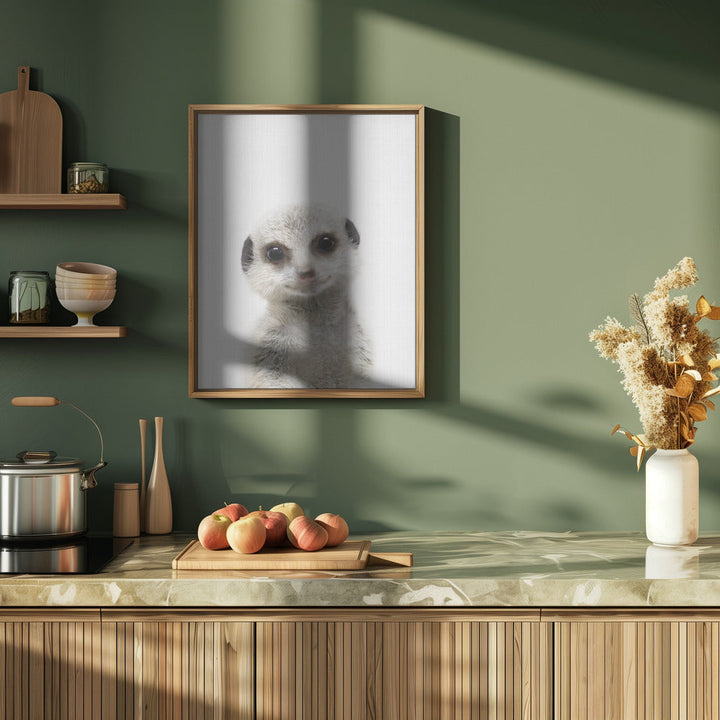 Peekaboo Baby Meerkat - Stretched Canvas, Poster or Fine Art Print I Heart Wall Art