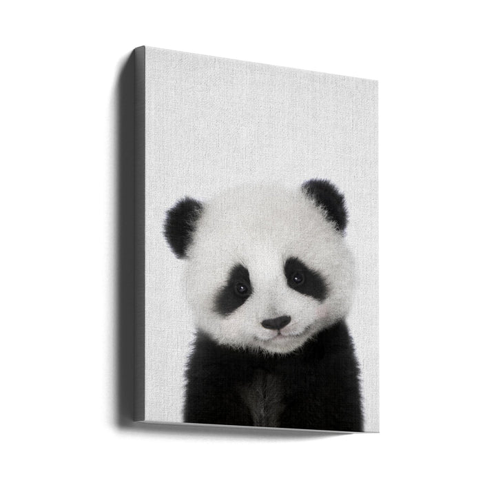 Peekaboo Baby Panda - Stretched Canvas, Poster or Fine Art Print I Heart Wall Art
