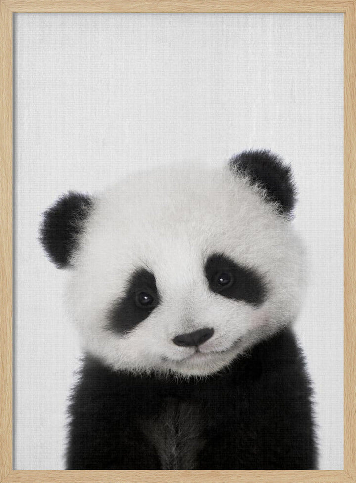 Peekaboo Baby Panda - Stretched Canvas, Poster or Fine Art Print I Heart Wall Art