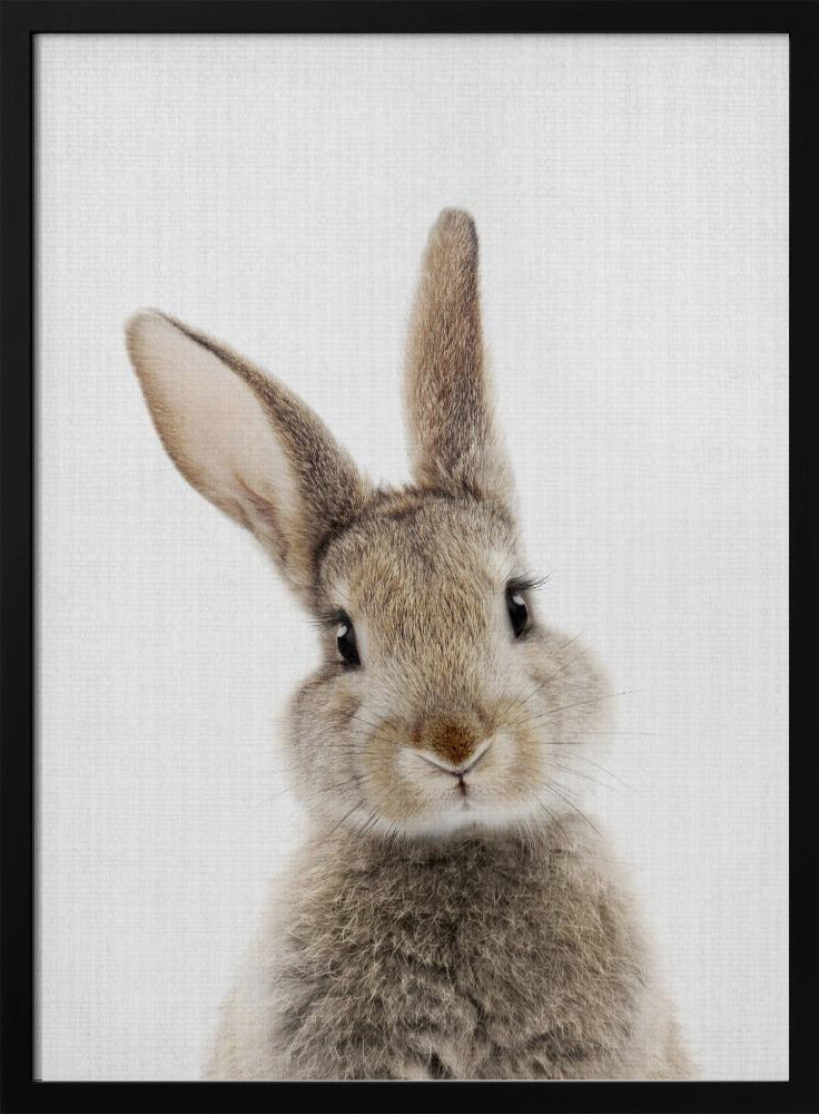 Peekaboo Bunny - Stretched Canvas, Poster or Fine Art Print I Heart Wall Art
