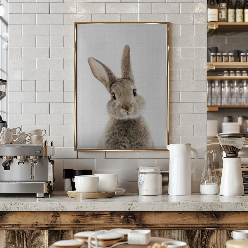 Peekaboo Bunny - Stretched Canvas, Poster or Fine Art Print I Heart Wall Art