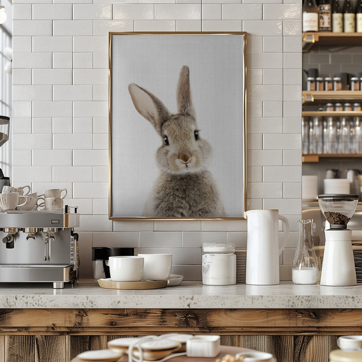 Peekaboo Bunny - Stretched Canvas, Poster or Fine Art Print I Heart Wall Art