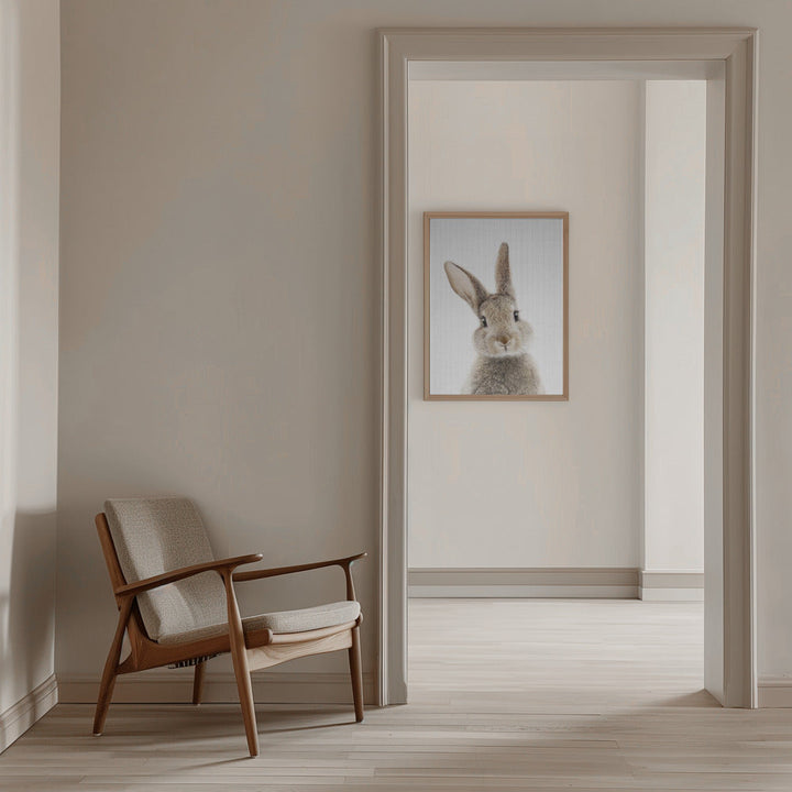 Peekaboo Bunny - Stretched Canvas, Poster or Fine Art Print I Heart Wall Art