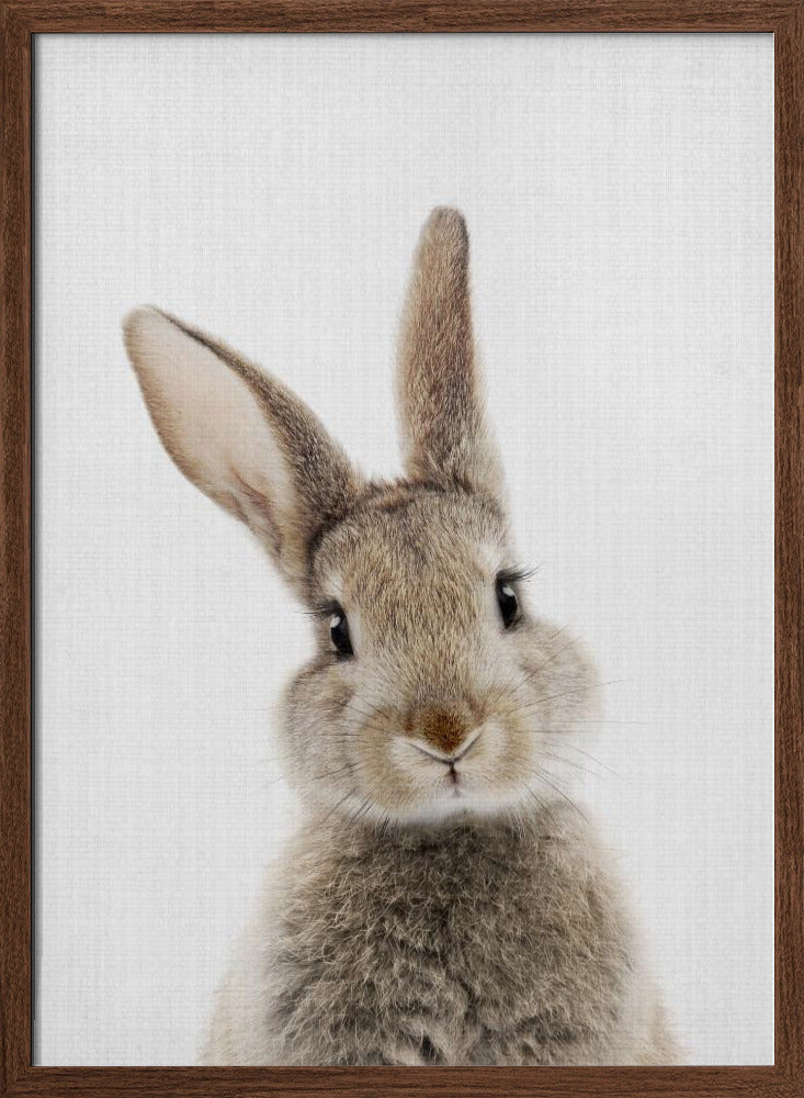 Peekaboo Bunny - Stretched Canvas, Poster or Fine Art Print I Heart Wall Art