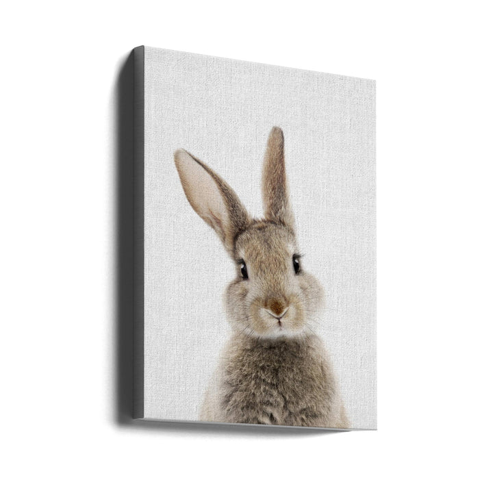 Peekaboo Bunny - Stretched Canvas, Poster or Fine Art Print I Heart Wall Art