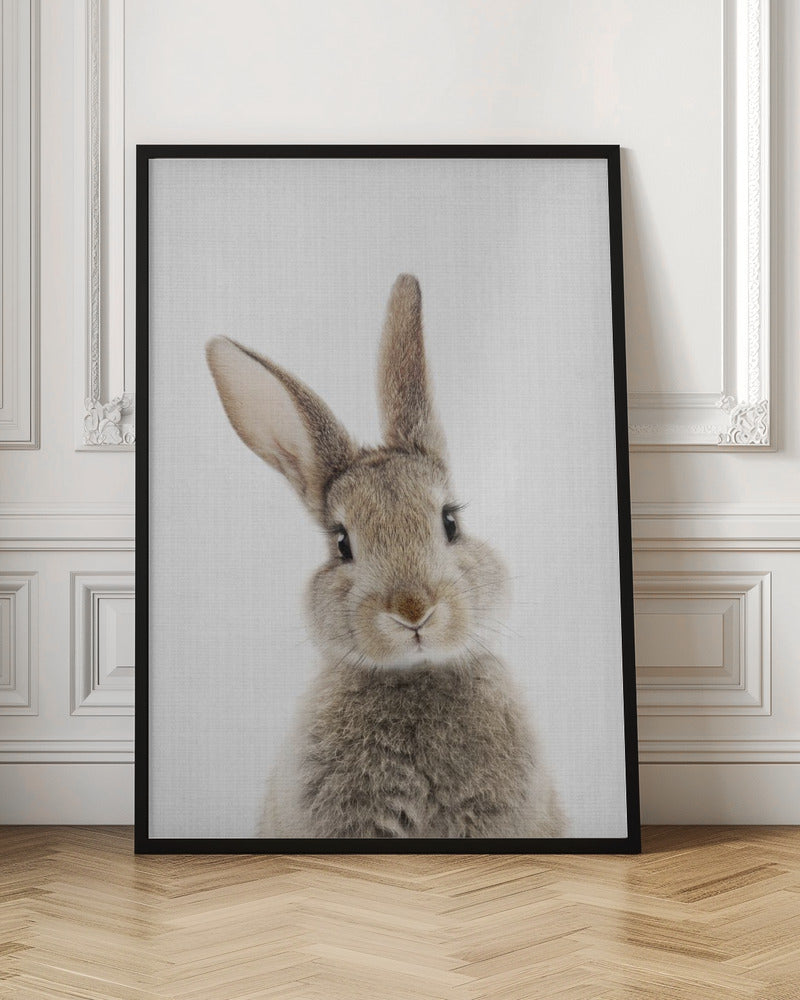Peekaboo Bunny - Stretched Canvas, Poster or Fine Art Print I Heart Wall Art