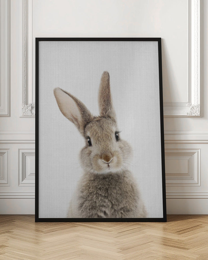 Peekaboo Bunny - Stretched Canvas, Poster or Fine Art Print I Heart Wall Art