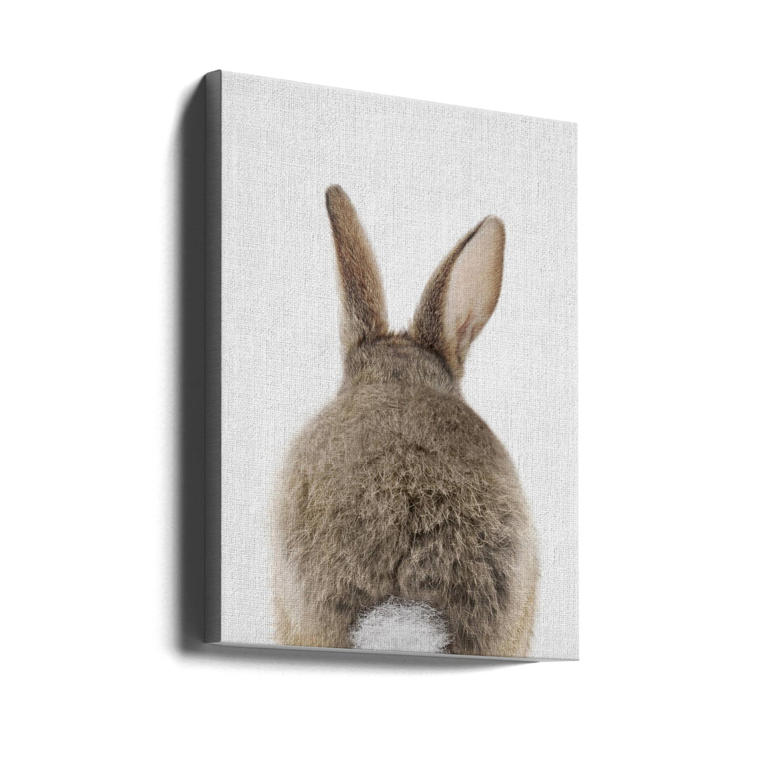 Peekaboo Bunny Tail - Stretched Canvas, Poster or Fine Art Print I Heart Wall Art