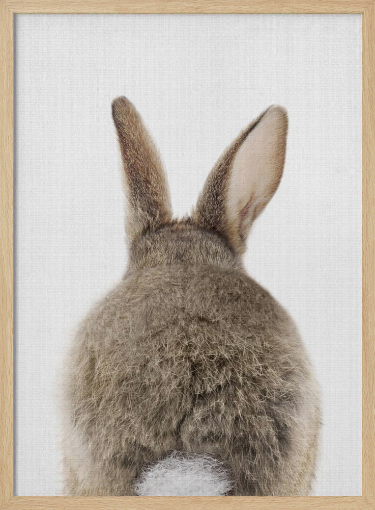 Peekaboo Bunny Tail - Stretched Canvas, Poster or Fine Art Print I Heart Wall Art
