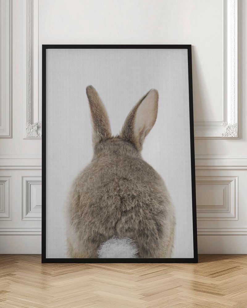 Peekaboo Bunny Tail - Stretched Canvas, Poster or Fine Art Print I Heart Wall Art