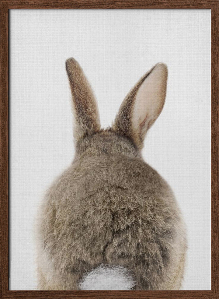 Peekaboo Bunny Tail - Stretched Canvas, Poster or Fine Art Print I Heart Wall Art