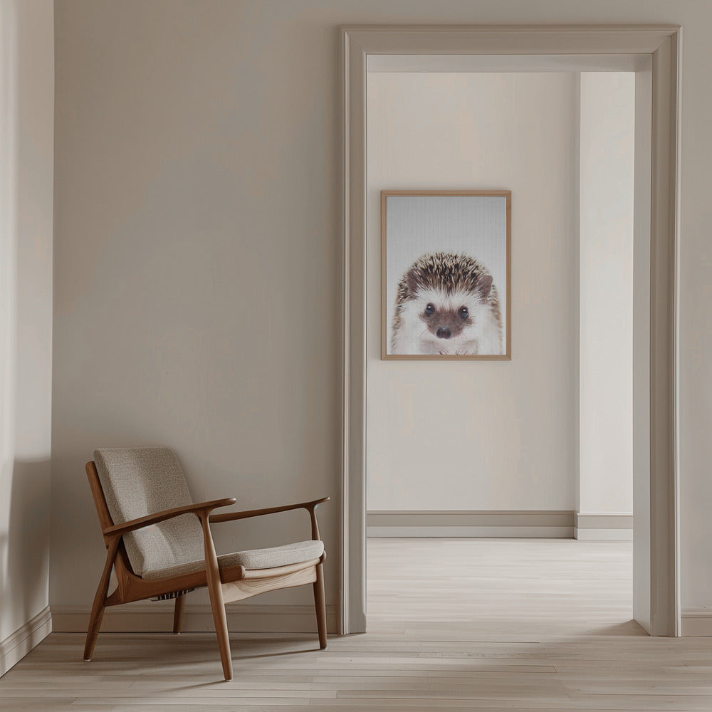 Peekaboo Hedgehog - Stretched Canvas, Poster or Fine Art Print I Heart Wall Art