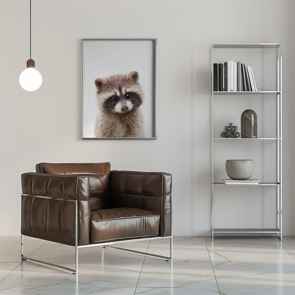 Peekaboo Raccoon - Stretched Canvas, Poster or Fine Art Print I Heart Wall Art