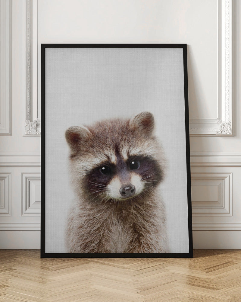 Peekaboo Raccoon - Stretched Canvas, Poster or Fine Art Print I Heart Wall Art