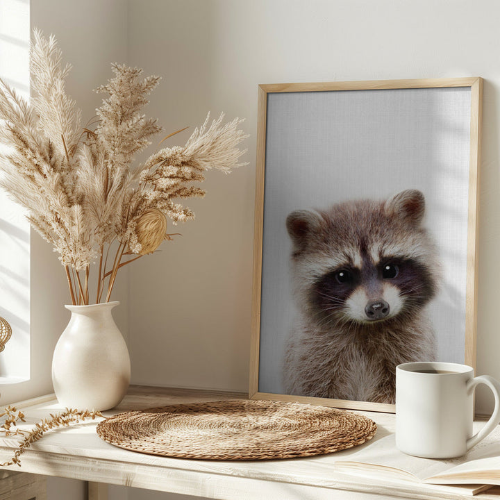 Peekaboo Raccoon - Stretched Canvas, Poster or Fine Art Print I Heart Wall Art