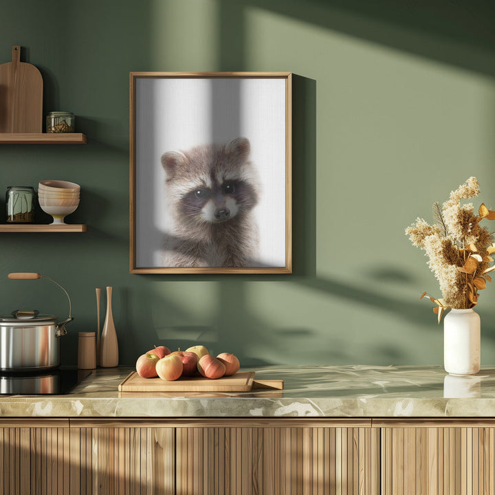 Peekaboo Raccoon - Stretched Canvas, Poster or Fine Art Print I Heart Wall Art