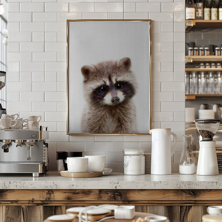 Peekaboo Raccoon - Stretched Canvas, Poster or Fine Art Print I Heart Wall Art