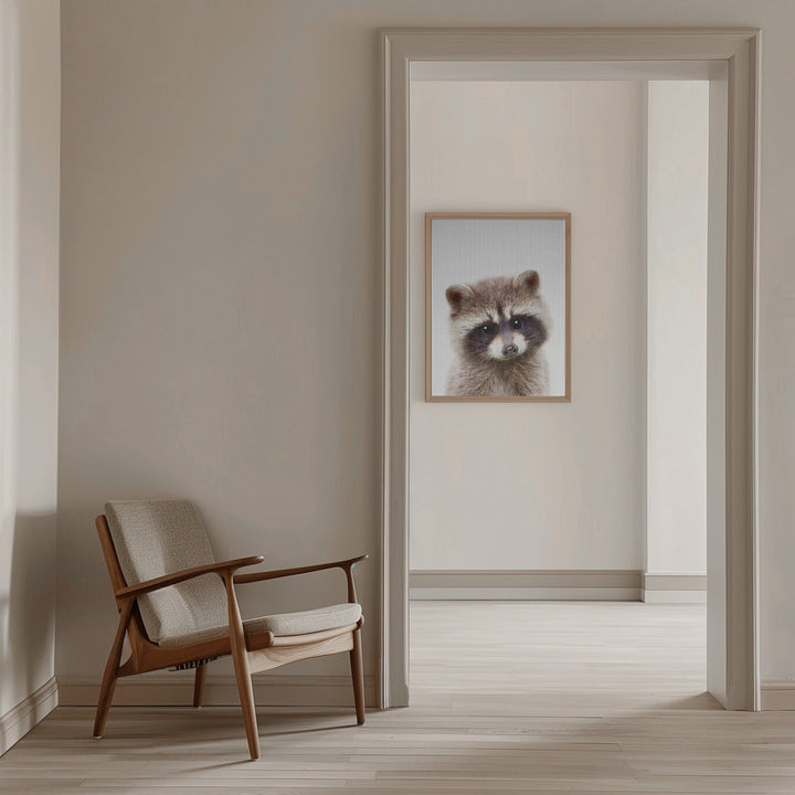 Peekaboo Raccoon - Stretched Canvas, Poster or Fine Art Print I Heart Wall Art