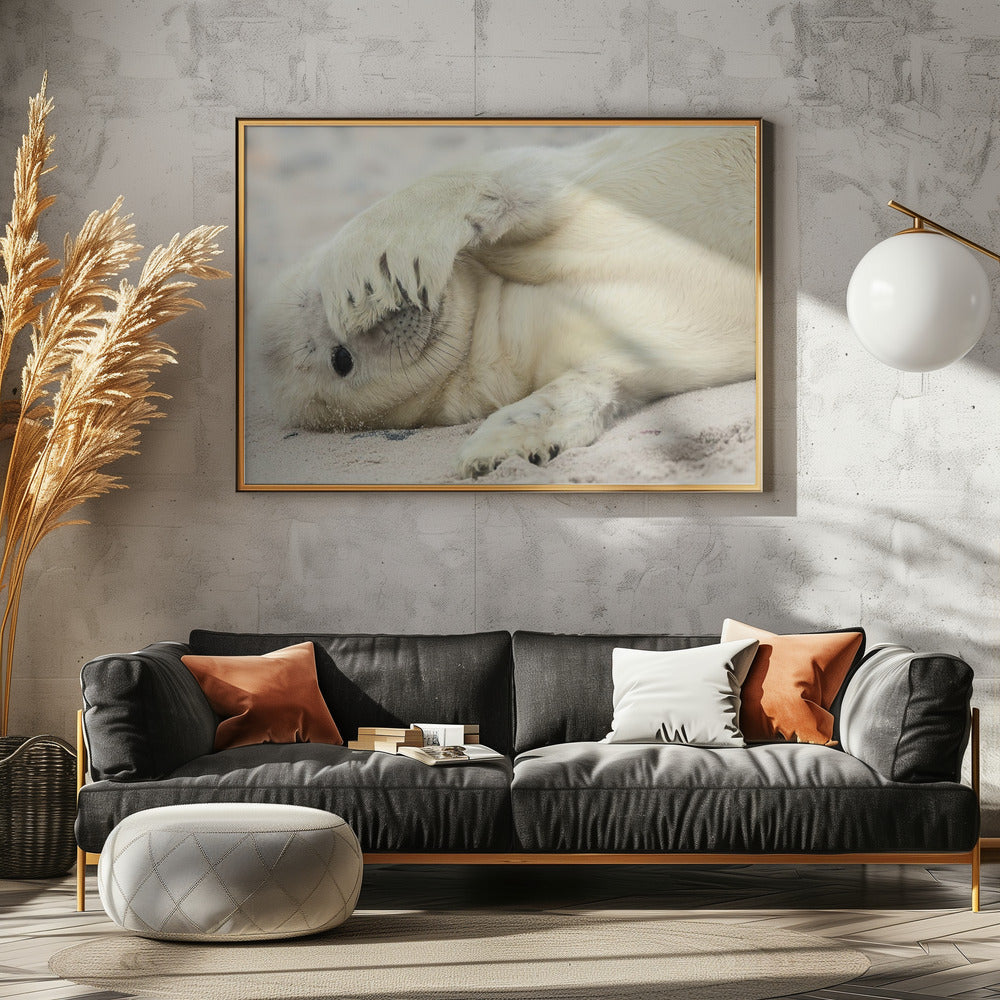 Peekaboo - Stretched Canvas, Poster or Fine Art Print I Heart Wall Art