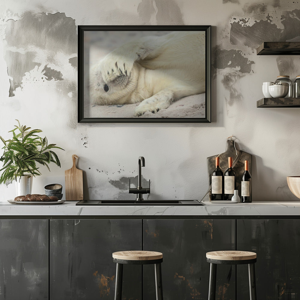 Peekaboo - Stretched Canvas, Poster or Fine Art Print I Heart Wall Art