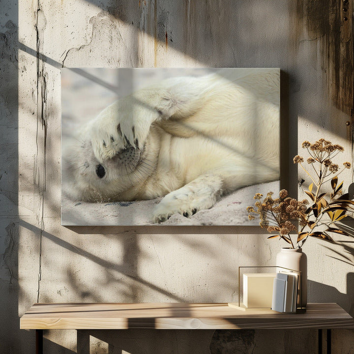 Peekaboo - Stretched Canvas, Poster or Fine Art Print I Heart Wall Art