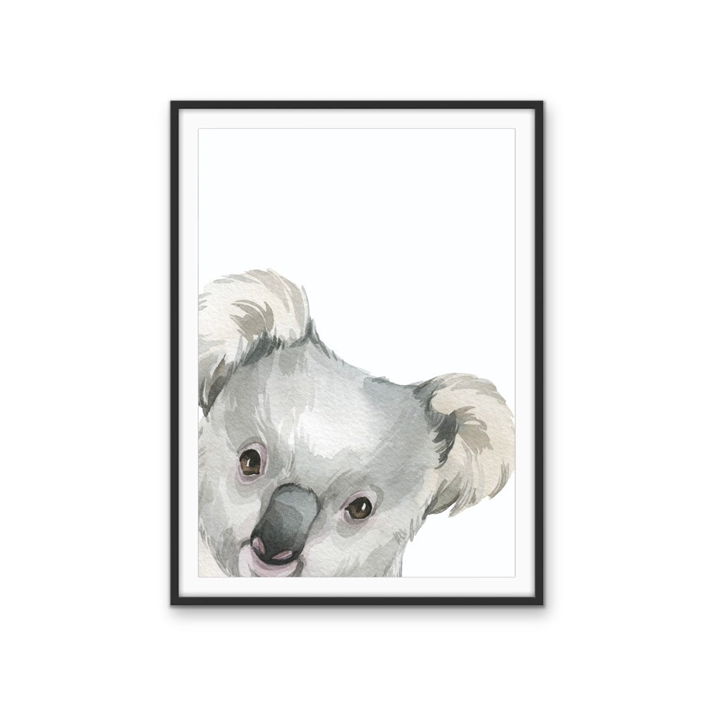 Peeking Koala Nursery Sketch - Australian Native Animal Stretched Canvas or Wall Art Print - I Heart Wall Art - Poster Print, Canvas Print or Framed Art Print
