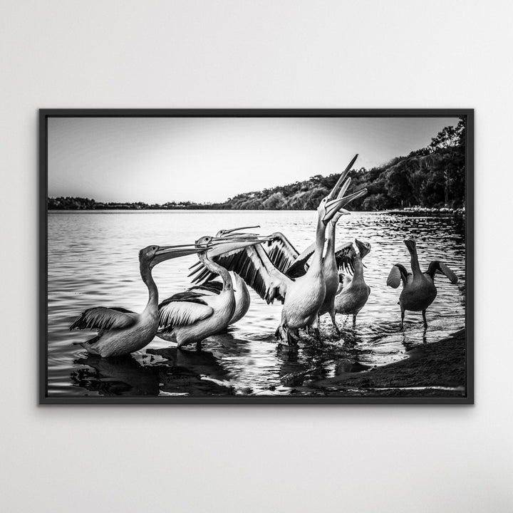 Pelicans On The Beach - Black and White Coastal Landscape Framed Canvas Print Wall Art Print - I Heart Wall Art