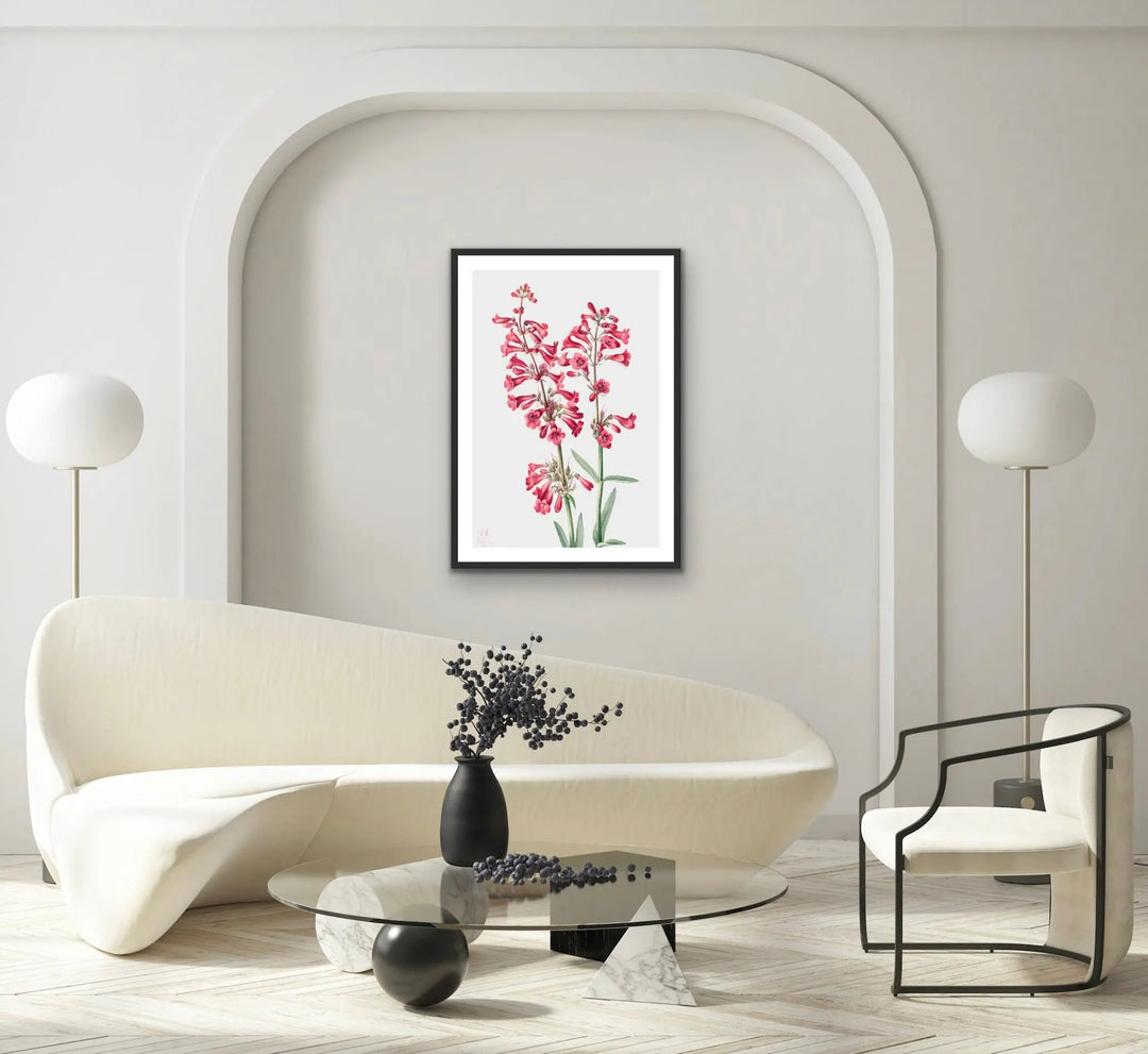 Penstemon Parryi (1927) by Mary Vaux Walcott - I Heart Wall Art
