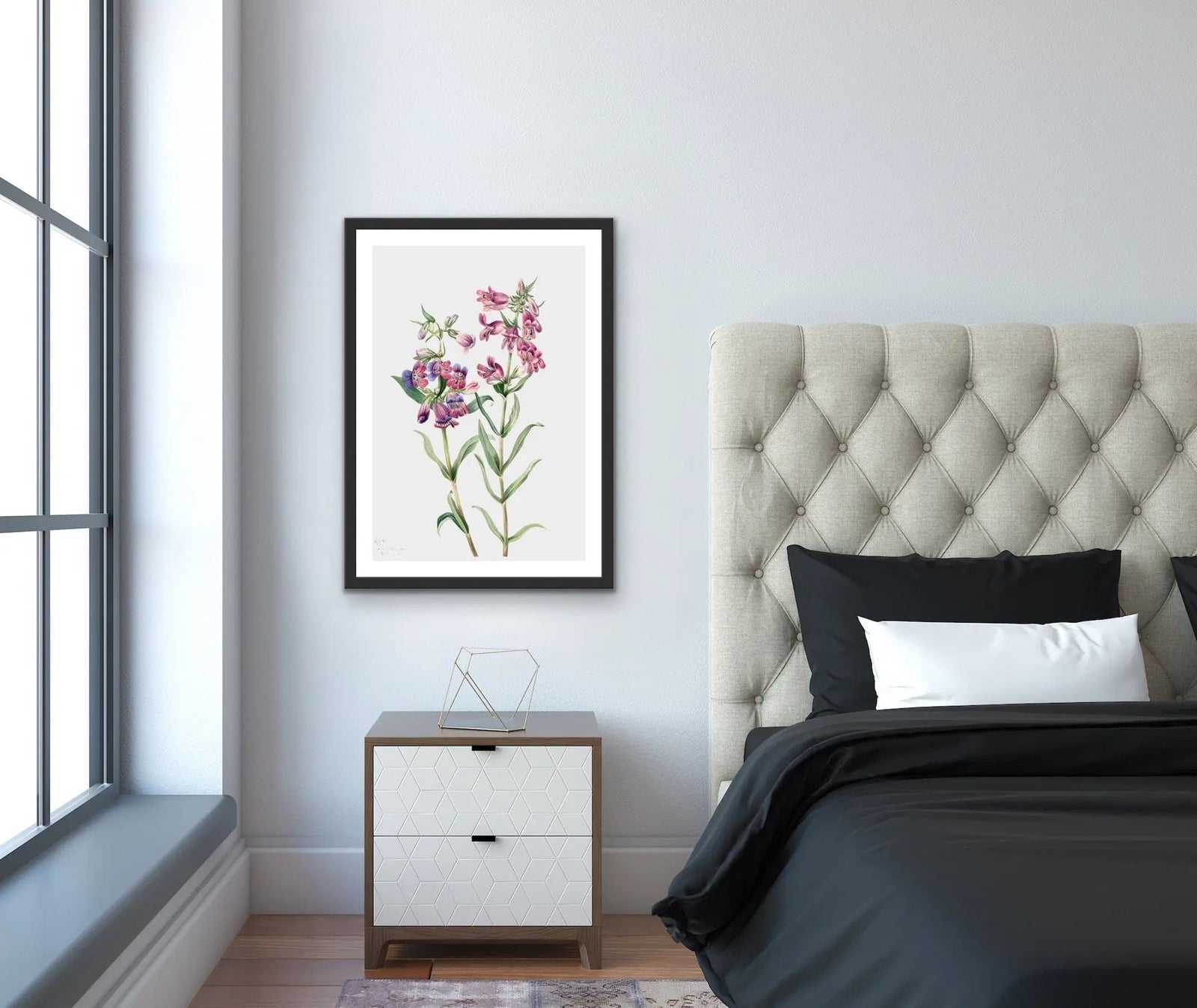 Pentstemon Erianthera (1923) by Mary Vaux Walcott - I Heart Wall Art