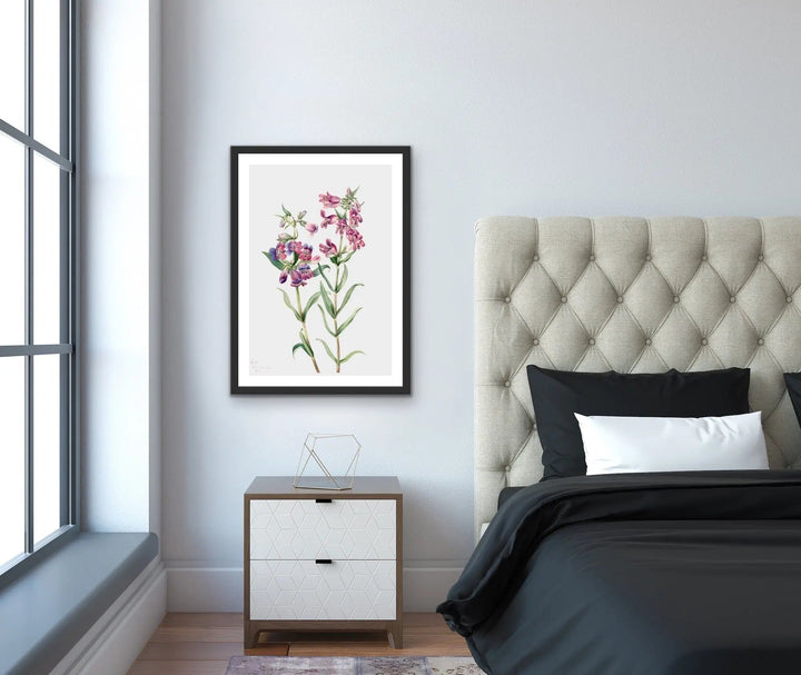 Pentstemon Erianthera (1923) by Mary Vaux Walcott - I Heart Wall Art