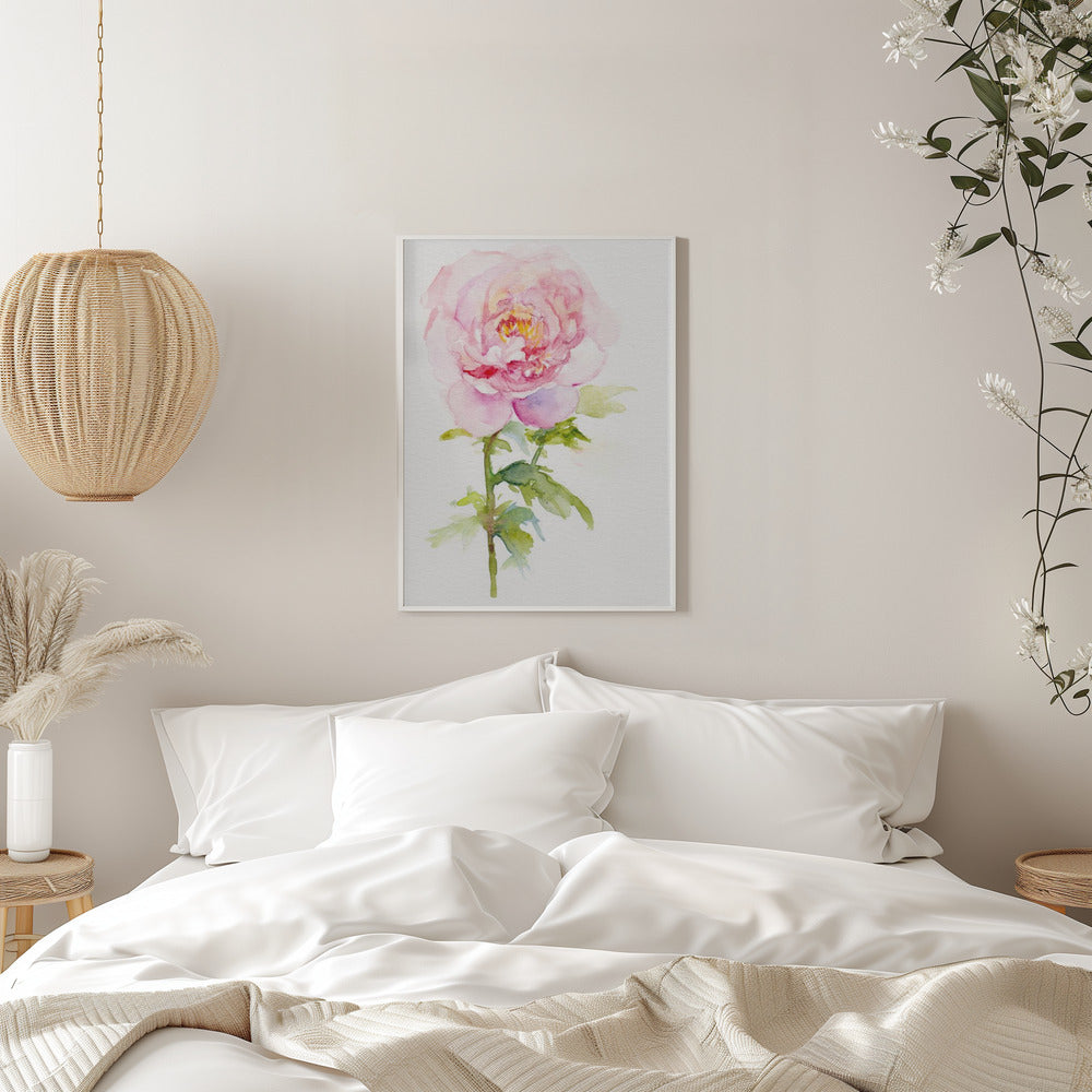 Peony November - Stretched Canvas, Poster or Fine Art Print I Heart Wall Art