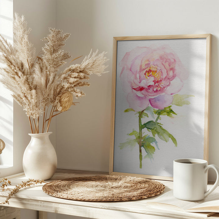 Peony November - Stretched Canvas, Poster or Fine Art Print I Heart Wall Art