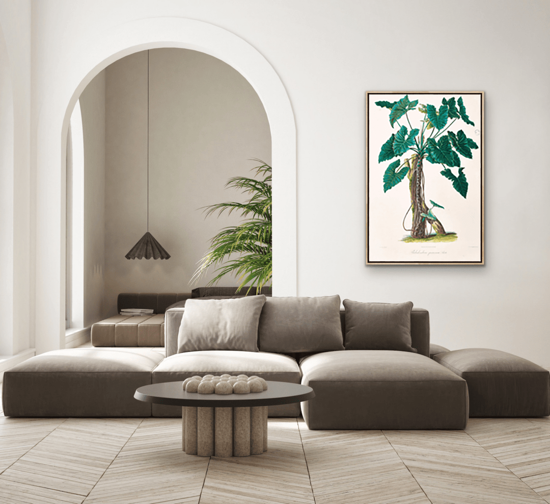 Philodendron Speciosum or Thaumatophyllum Speciosum from Icones Aroidearum (1857) by Heinrich Wilhelm Schott - I Heart Wall Art - Poster Print, Canvas Print or Framed Art Print