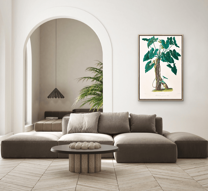 Philodendron Speciosum or Thaumatophyllum Speciosum from Icones Aroidearum (1857) by Heinrich Wilhelm Schott - I Heart Wall Art - Poster Print, Canvas Print or Framed Art Print